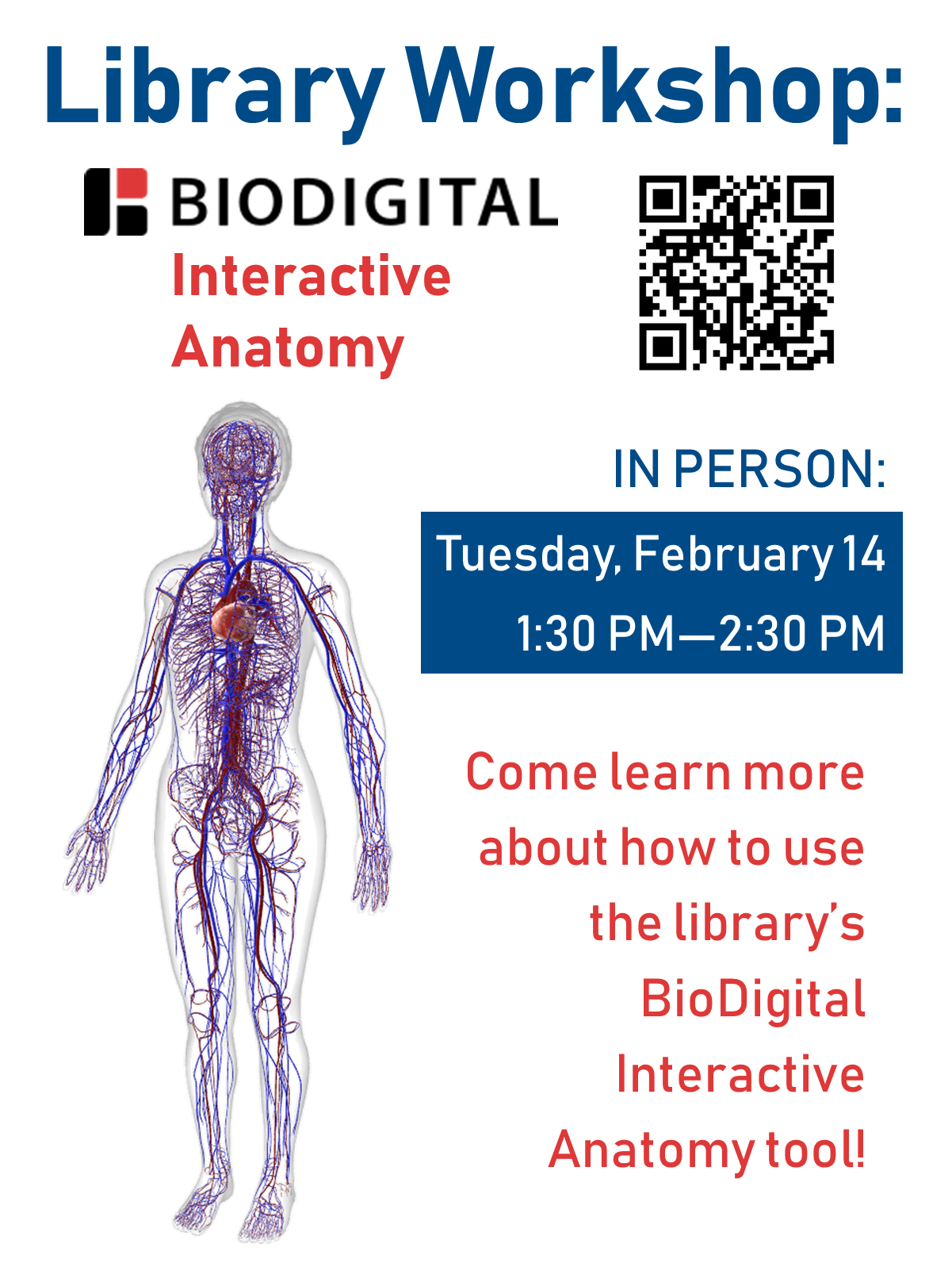 Interactive Anatomy Flyer